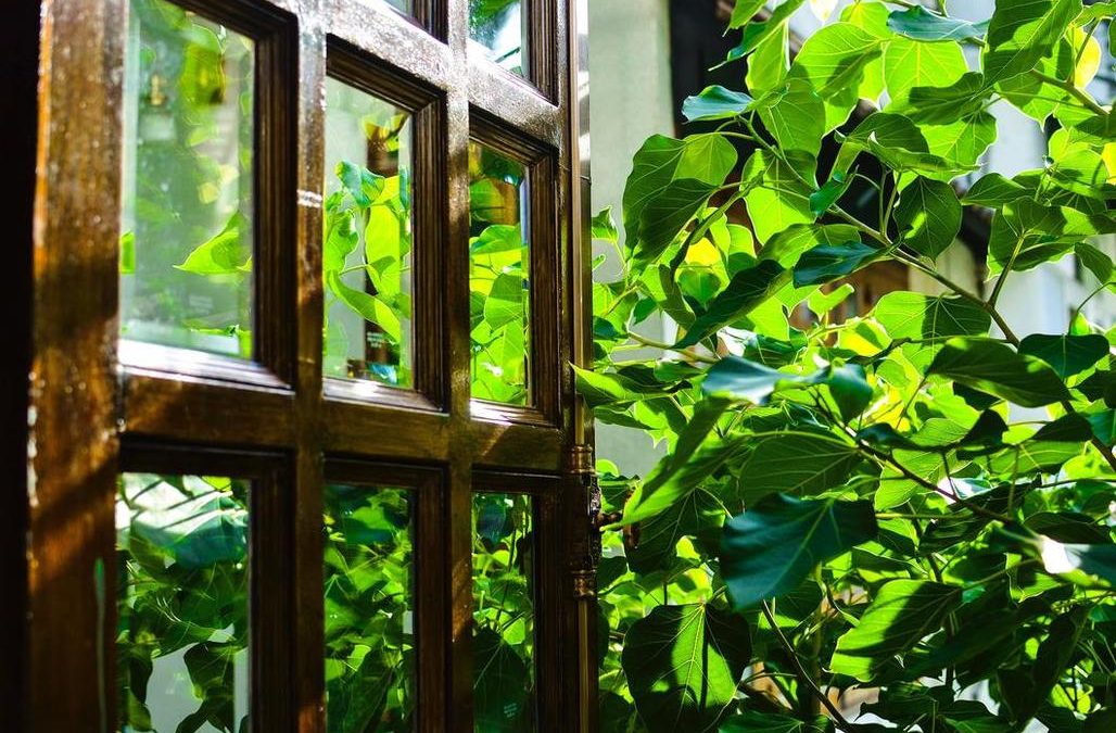 Basic methods to protect wooden doors from sun damage